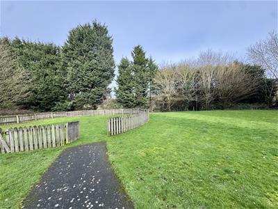 Picture 24